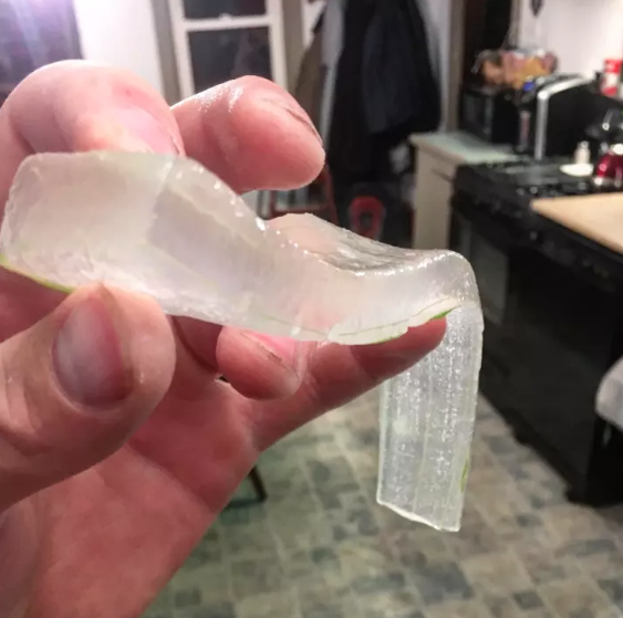 Aloe vera Aloe vera
