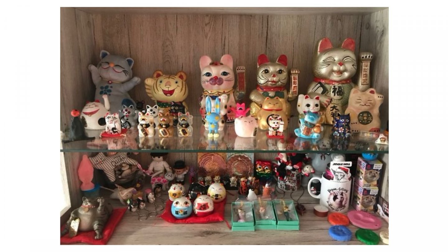 Sbírá Maneki Neko - kočky pro štěstí Sbírá Maneki Neko - kočky pro štěstí