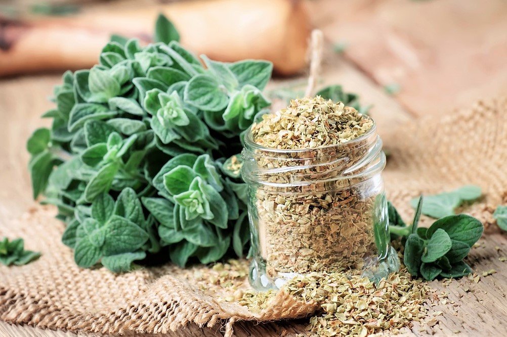 10 bylin proti podzimní depresi, únavě a stresu: čerstvá i sušená dobromysl (oregano) se přidává do zklidňujících koupelí 10 bylin proti podzimní depresi, únavě a stresu: čerstvá i sušená dobromysl (oregano) se přidává do zklidňujících koupelí
