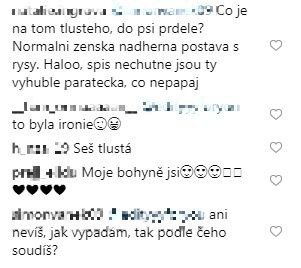 Ošklivé komentáře hejtrů. Ošklivé komentáře hejtrů.