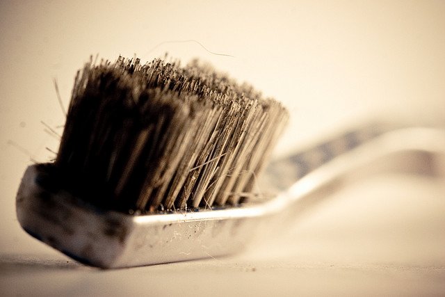 Vzpomínáte si ještě na údaje o počtu bakterií z kuchyňské houby? Údaje pro kartáček jsou stejné. Vzpomínáte si ještě na údaje o počtu bakterií z kuchyňské houby? Údaje pro kartáček jsou stejné.