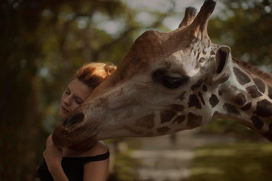 Ruská fotografka Katerina Plotnikova se věnuje jedinečným fotografiím s reálnými zvířaty... Ruská fotografka Katerina Plotnikova se věnuje jedinečným fotografiím s reálnými zvířaty...