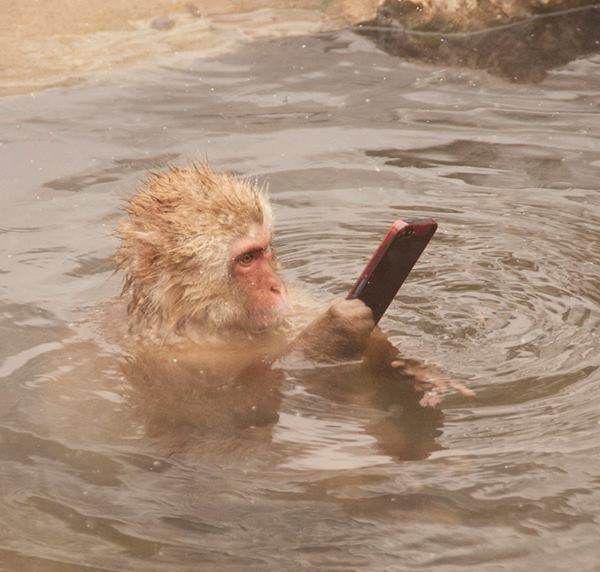 Bizarní galerie selfies - Je tohle vůbec možné? - Obrázek 12 Bizarní galerie selfies - Je tohle vůbec možné? - Obrázek 12