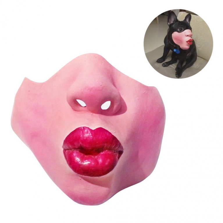 Pořídili byste některý svému miláčkovi? Pořídili byste některý svému miláčkovi?
