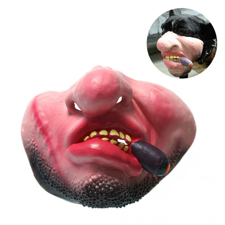 Pořídili byste některý svému miláčkovi? Pořídili byste některý svému miláčkovi?