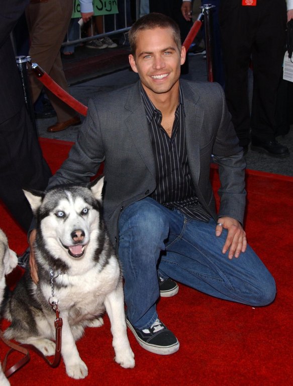 Paul Walker byl mimořádně oblíbený. Paul Walker byl mimořádně oblíbený.