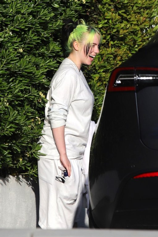 Billie Eilish (18) Billie Eilish (18)