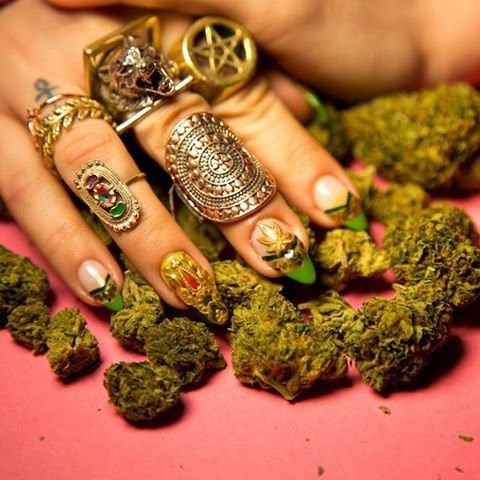 Marihuana na nehtech Marihuana na nehtech
