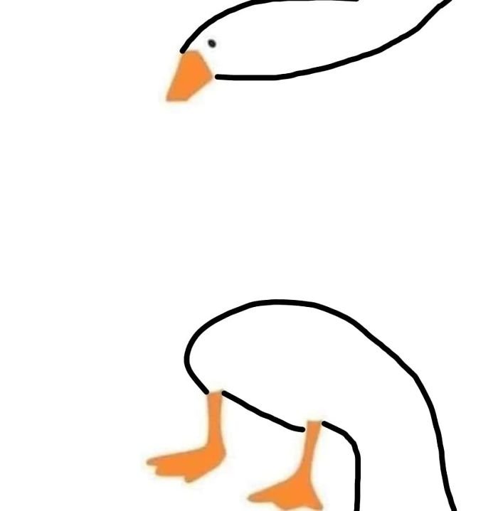 Kachna na sto způsobů Kachna na sto způsobů
