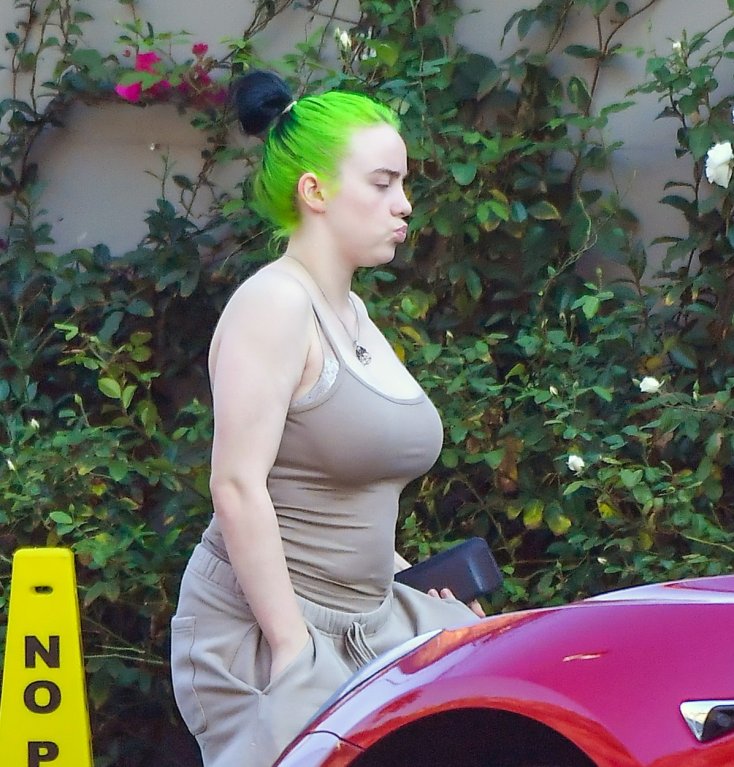 Billie Eilish (18) Billie Eilish (18)