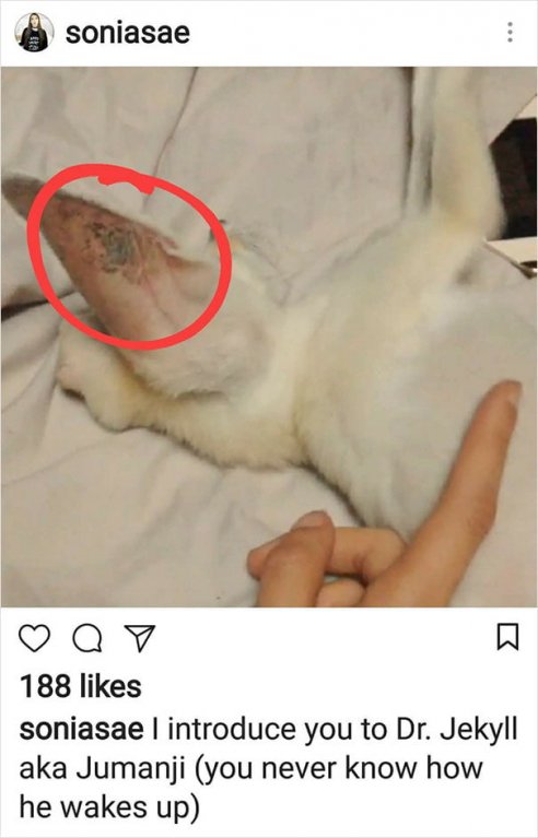 Trpí různými kožními nemocmi Trpí různými kožními nemocmi