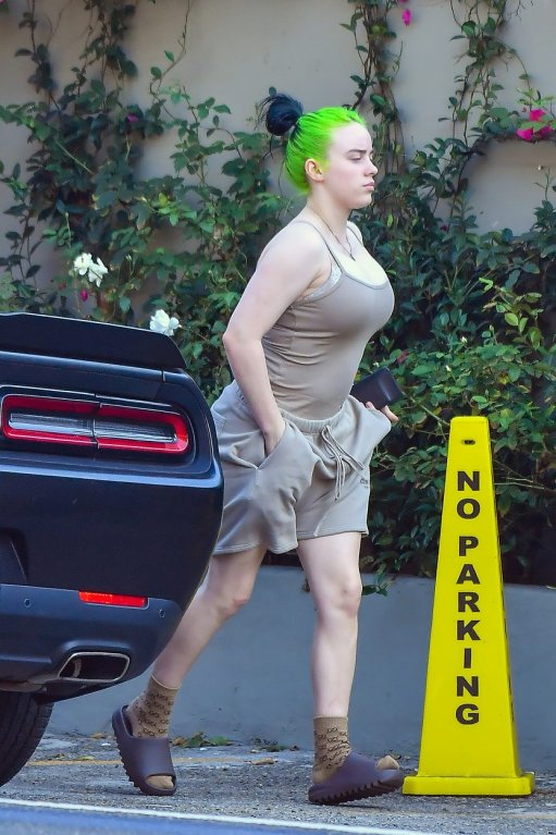 Billie Eilish (18) Billie Eilish (18)