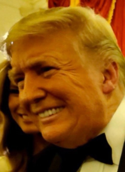 Donald Trump na deset způsobů Donald Trump na deset způsobů
