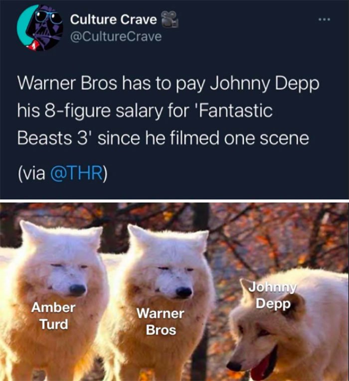 Internet brání Johnnyho Deppa Internet brání Johnnyho Deppa