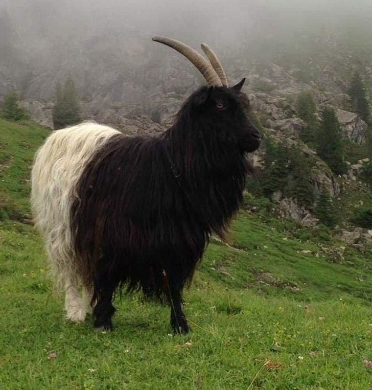 Když si příroda hraje s barvami. Když si příroda hraje s barvami.