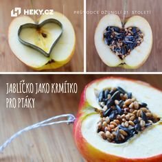 Krmení pro zvěř 9 Krmení pro zvěř 9