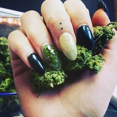 Marihuana na nehtech Marihuana na nehtech