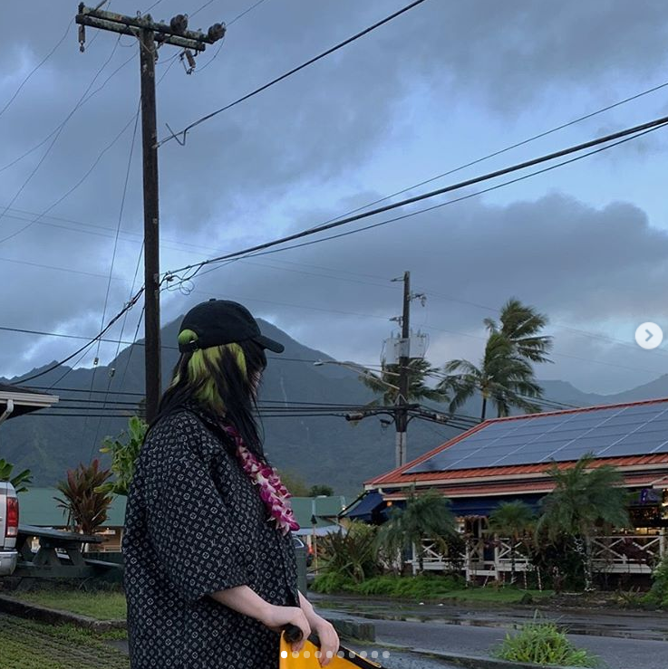 Billie Eilish (18) Billie Eilish (18)