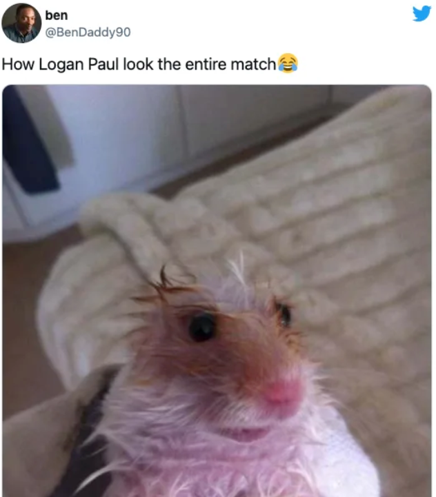 Vážně byl tohle zápas roku? Vážně byl tohle zápas roku?