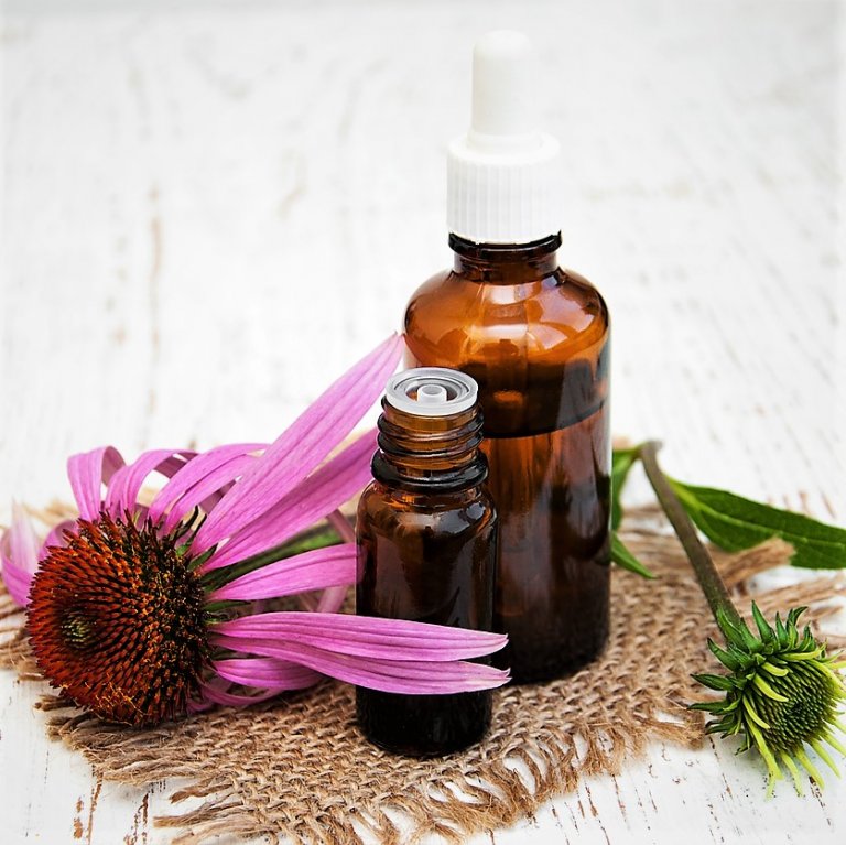 ECHINACEA: Domácí recept na tinkturu z květů proti nachlazení ECHINACEA: Domácí recept na tinkturu z květů proti nachlazení