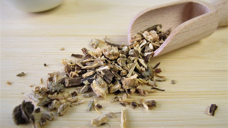 ECHINACEA: kořen sbíráme v září a říjnu, podélně ho rozřízneme, omyjeme a usušíme ECHINACEA: kořen sbíráme v září a říjnu, podélně ho rozřízneme, omyjeme a usušíme
