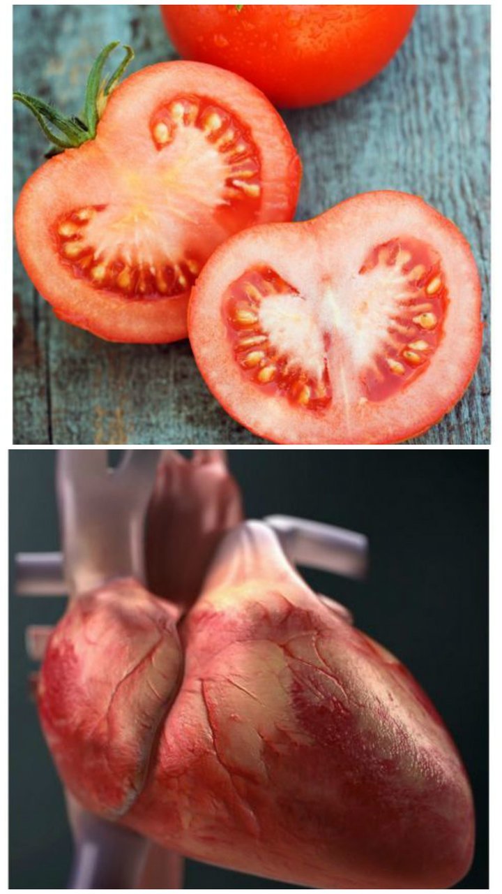 potraviny rajčata potraviny rajčata