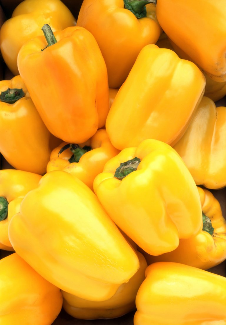 delší vlasy - žlutá paprika delší vlasy - žlutá paprika