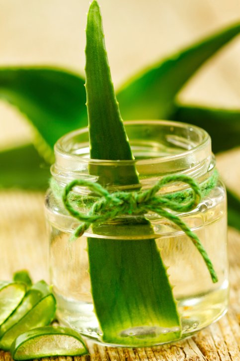 padání vlasů aloe vera padání vlasů aloe vera