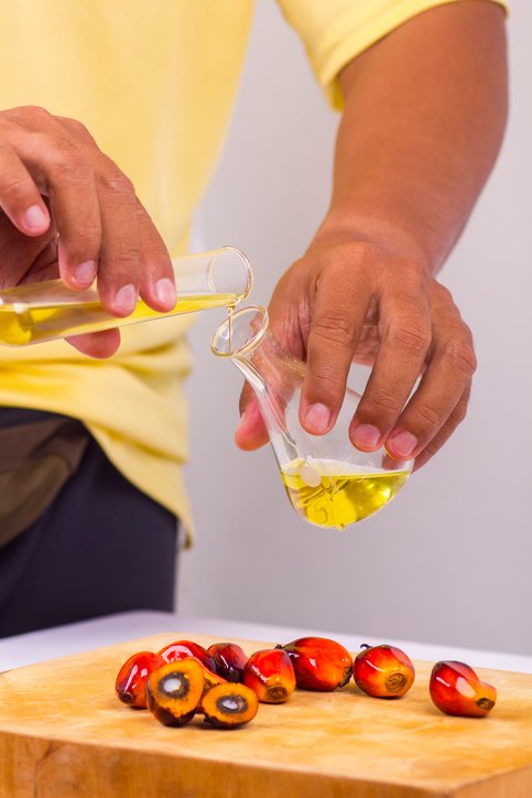 tuky a výživa palmový tuky a výživa palmový