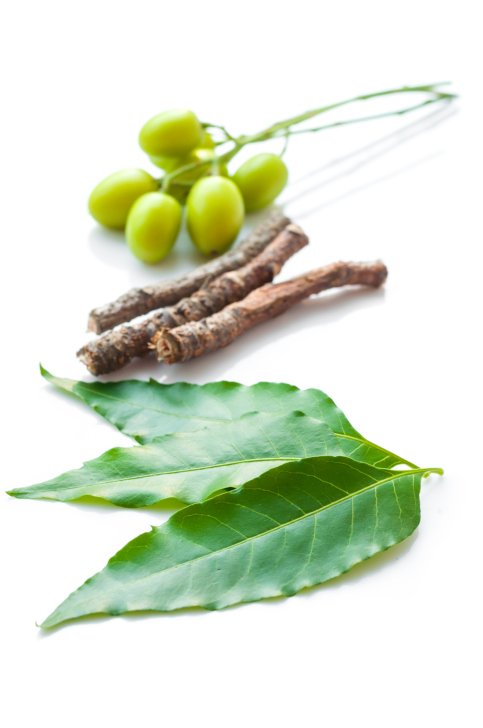 padání vlasů neem padání vlasů neem