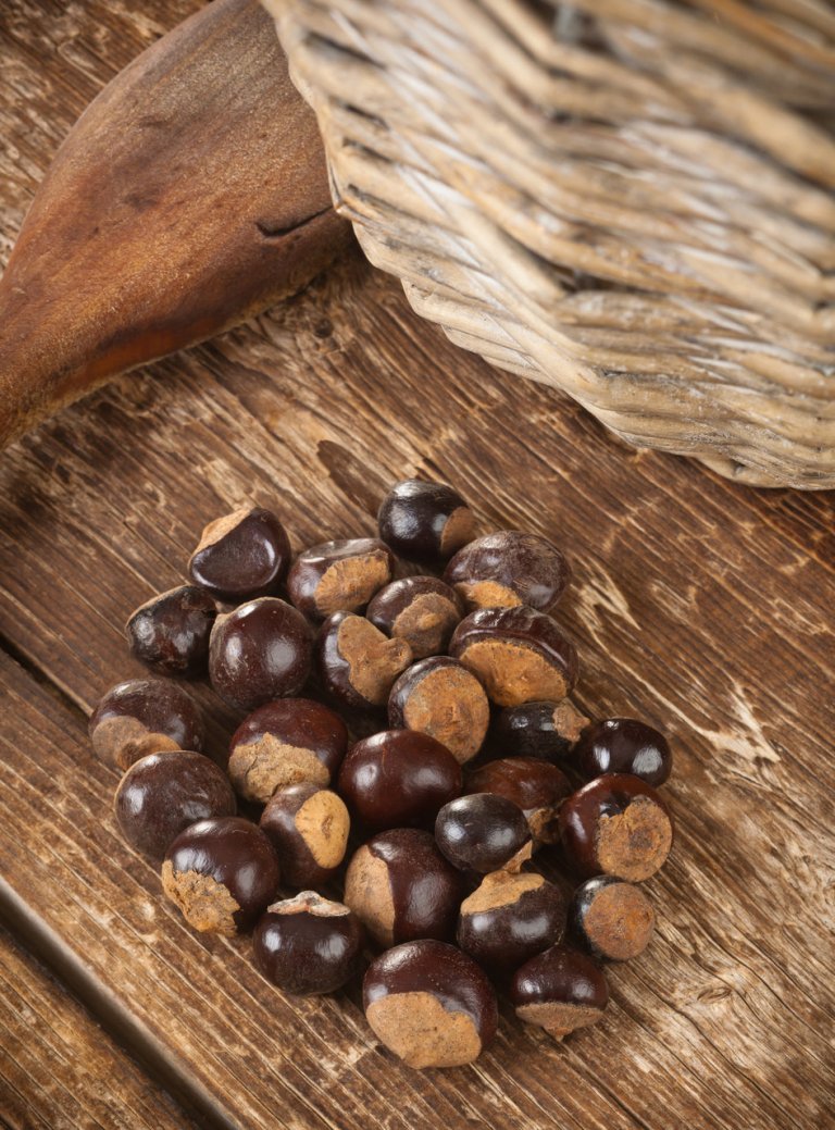 Paulinie nápojná neboli guarana Paulinie nápojná neboli guarana