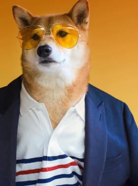Youtuber Gejmr - profil Youtuber Gejmr - profil